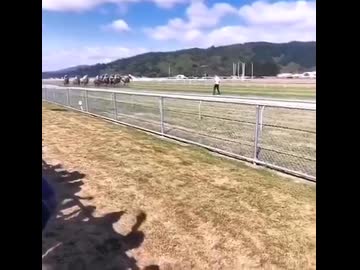 ホモと見る柵を飛び越えて競馬場の中央に立つ男