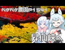2025年11月11日　農作業日誌P1541　秋を満喫するべく山梨県の昇仙峡へ