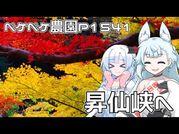 2025年11月11日　農作業日誌P1541　秋を満喫するべく山梨県の昇仙峡へ