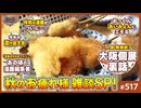 #517① 中2ナイトニッポンvol.125 大阪「れいとしょう展」裏話と川原正敏「月マガ秘話」について〜「まさか俺の漫画が！？」「クワイエットアゲ」「あいみょんとCody・Lee（李）」他