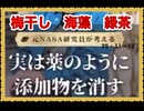 25・11・1 2    日本人が　昔から　食していた物だ。　日本食を見直す時か来た。