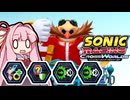 当家のソニックレーシングクロスワールド30