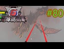 【地球防衛軍6】エアレイダーINF 適正装備攻略 80.水神の宴【VOICEVOX実況】