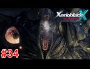 【実況】未知の惑星で生きていく『ゼノブレイドクロス』part34