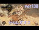 【独り言実況】ゲーム内方向音痴はもう喘がない？？モンハンワイルズ【Part38】