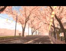 【VRChatワールド紹介】Yayoi Spring Promenade