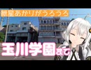 紲星あかりがうろうろ 玉川学園まで