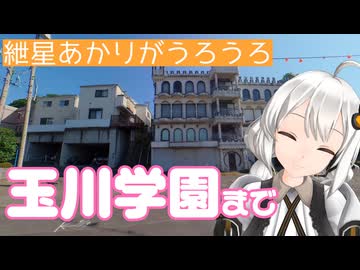 紲星あかりがうろうろ 玉川学園まで