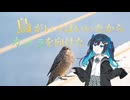 鳥がいっぱいいたからカメラを向けた
