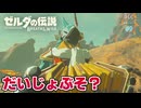 【ゼルダの伝説BotW DLC】再びハイラルの地！新たな試練に挑戦する#9【実況】