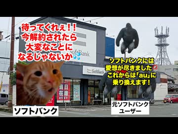 【ソフトバンク SoftBank】残クレアルファードのようなやり方で情弱を騙した結果、客離れが止まらない携帯大手キャリア #猫マニ #猫ミーム