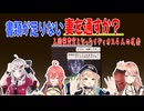 【Papers, Please】書類が足りない妻を通すか？イディオス４人の反応