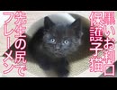 黒い子猫、先生のSiriでナイスフレーメン