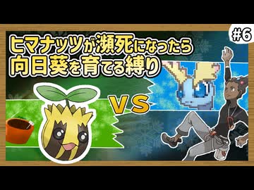 【ポケモンXY】ヒマナッツがひんしになったら『現実で向日葵を育てる縛り』（Part⑥）