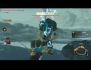 ゼルダ無双厄災の黙示録　実況プレイ#22