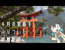 4月の宮島をぶらついた宮舞動画【VOICEPEAK旅行】
