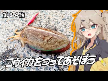 コウイカをつってあそぼう。第２４話【#春日部つむぎ誕生祭2025】