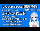 【2025エリザベス女王杯】つくよみちゃんの競馬予想