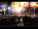 一夜咲