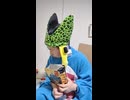 e-tron Sスポーツバックのアウディaudiのドライバー・運転手が死亡事故・交通事故・重傷事故・暴走事故・過失運転・危険運転・死傷事故・ながら運転・飲酒運転・居眠り運転しないように願う祈祷