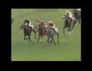 2010 デイリー杯２歳Ｓ(GII)　レーヴディソール