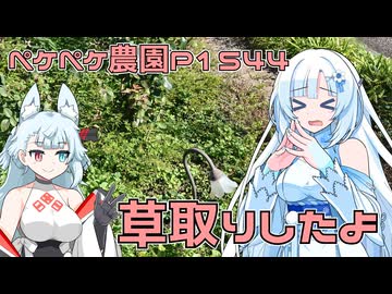 2025年11月14日　農作業日誌P1544　花壇の草取りに決着をつけたよ