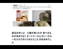 底辺は辛いよ　小腹が減ったが 食べるものがあまりなく オートミールにカレーのルーを入れて作ってみたところ まあまあでした