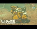 【ゼルダの伝説BotW DLC】再びハイラルの地！新たな試練に挑戦する#10【実況】