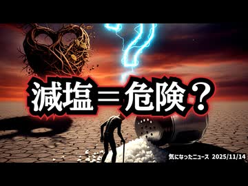 ◆日本人が知るべき、塩は本当に悪いのか？ ～ 塩を減らすと寿命が縮む？50年隠されてきた“減塩神話”の真実