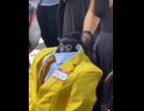 犬人間