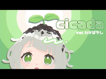 cicada　歌ってみた　ver.わかばやし