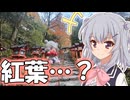 りっかのプチ旅行「紅葉を……？？」【小春六花】