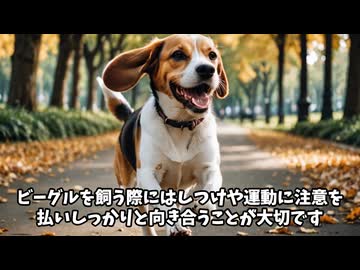 ビーグルって犬種、知ってる？