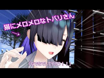 【MMD】猫にメロメロなトバリさん