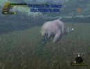 【MHF】韋駄天杯　ババコンガ　自由ハンマー　サーバー１