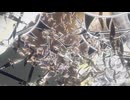 【VRChatワールド紹介】光律の座（Seat of Luminal Order）