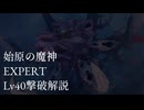 【新・世界樹の迷宮2】 始原の魔神・引退なしLv40撃破 (EXPERT) 解説