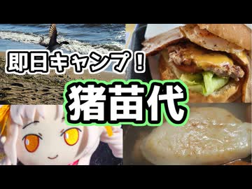 紅葉なんてもうないさ！まだ秋の即日キャンプ！福島県猪苗代【ウナついキャンプ】