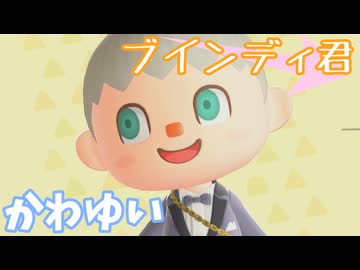 【あつまれ どうぶつの森】ブインディくん駆け回ります【声実況】