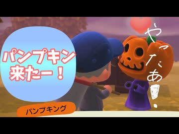 【あつまれ どうぶつの森】パンプキング来た！【声実況】