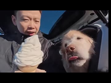 ホモと見る死ぬ前に美味いものを食って逝く犬