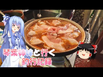 琴葉姉妹と行く釣行記録（車載編part36 63）