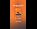太陽と影のブルース 44
