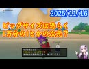 【DQ10】No.1463 サクうまとと丸のビッグサイズが釣れました【結月ゆかり】
