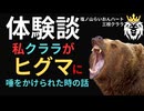実録【ヒグマの知恵に驚愕】私がヒグマに唾液をビタビタにかけられた話！