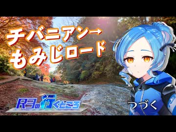 【バイク車載】R3の行くところ 第11回 チバニアン→もみじロード【YZF-R3】