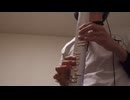心の旋律 吹いてみた