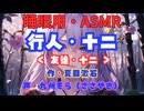 【睡眠用】  九州そら（ささやき）  '' 行人・十二（ 友達・十二） '' （ 作・夏目漱石 ）  【ASMR】