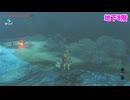 剣の試練 序位 ゼルダの伝説 ブレスオブザワイルド DLC