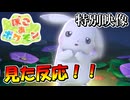 突如として出てきた ぽこあポケモンの特別映像を見たポケモン実況者の反応！！